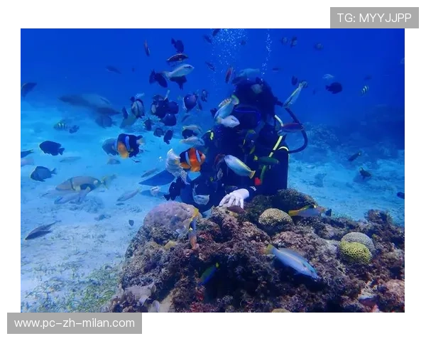 _蓝色海底漂流：探索深海的极限快感_，蓝色海底背景图片